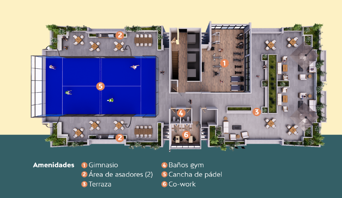 2 de 11