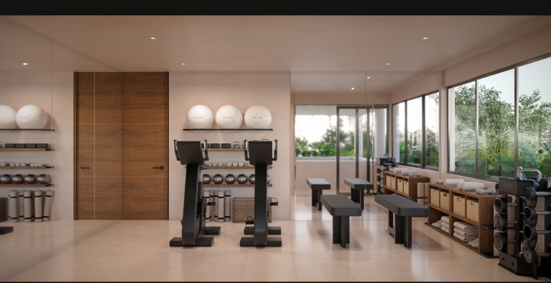 5 de 6: Gimnasio