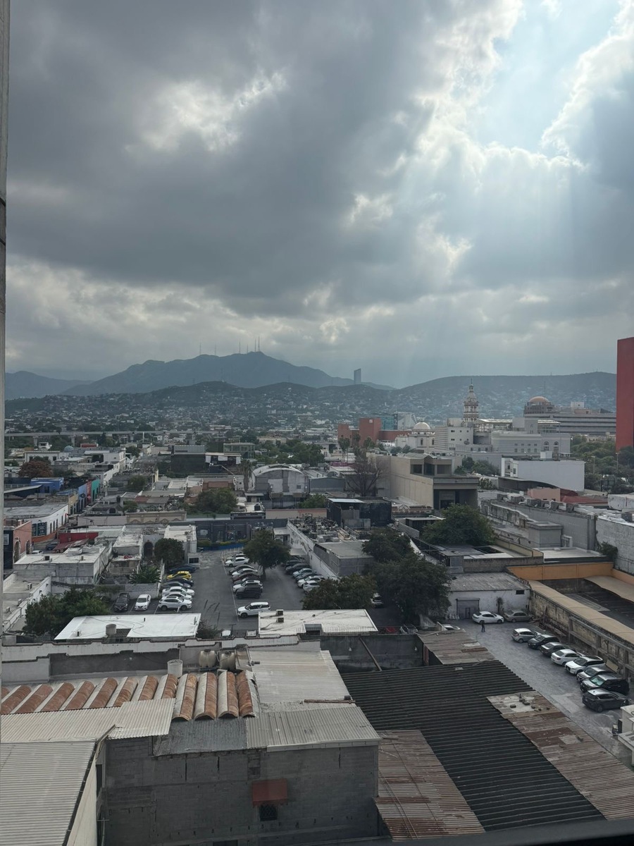 6 de 14