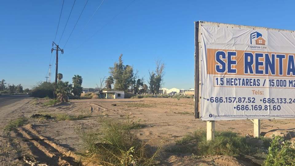 1 de 2