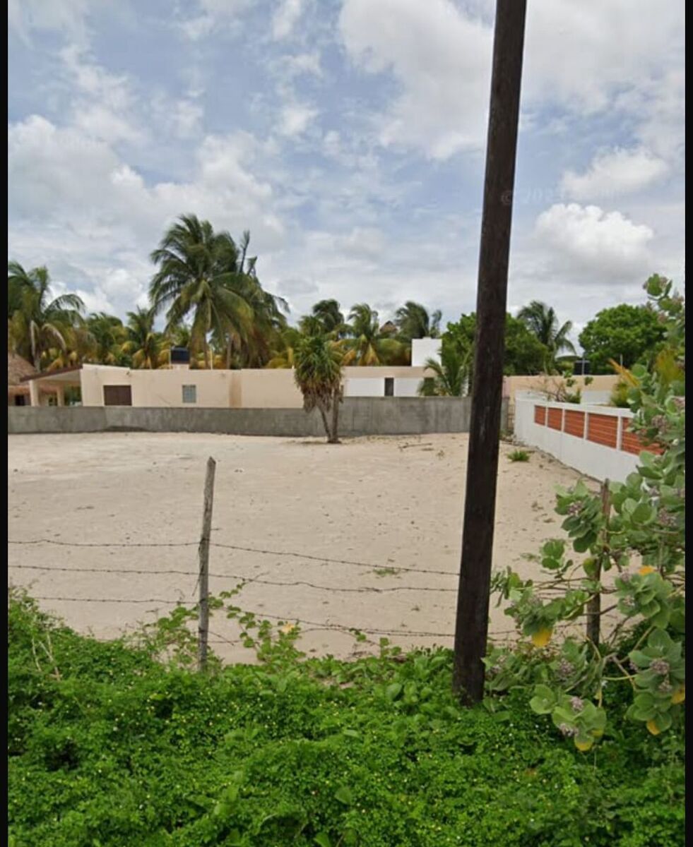 7 de 7