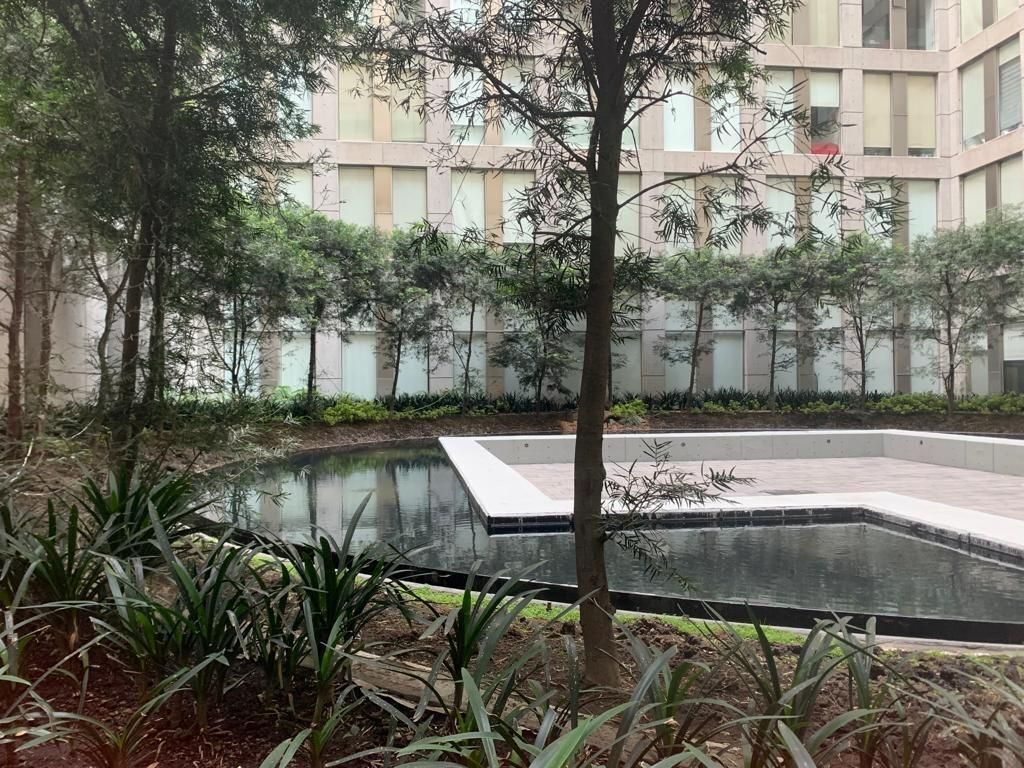 7 de 15: Área común