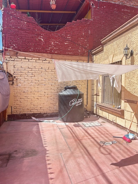 11 de 12
