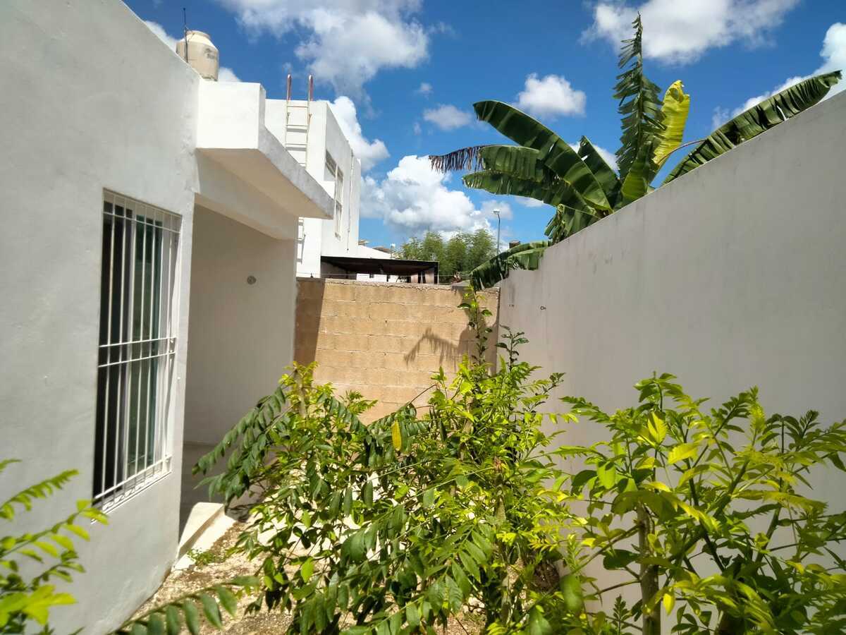25 de 30