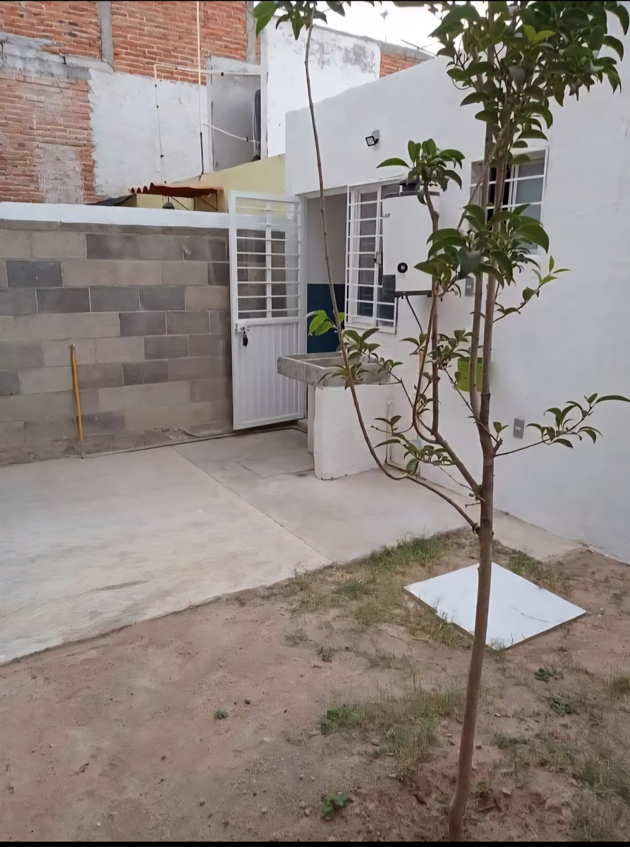 13 de 13
