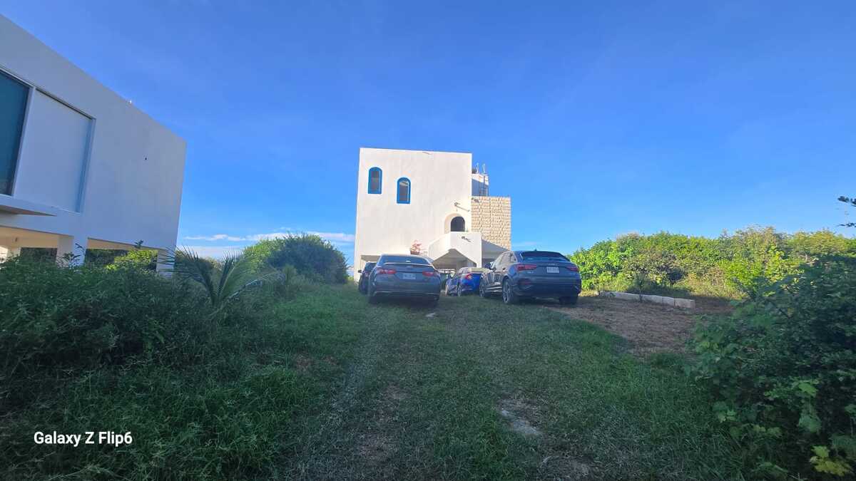 49 de 49