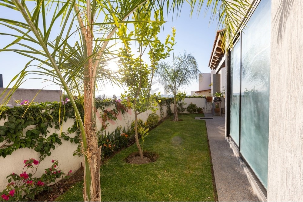 7 of 22: Lush green garden patio San Miguel Allende sunlight.