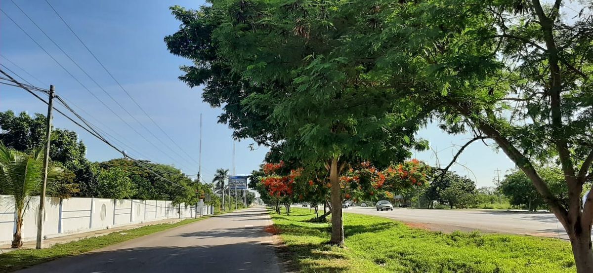 1 de 3