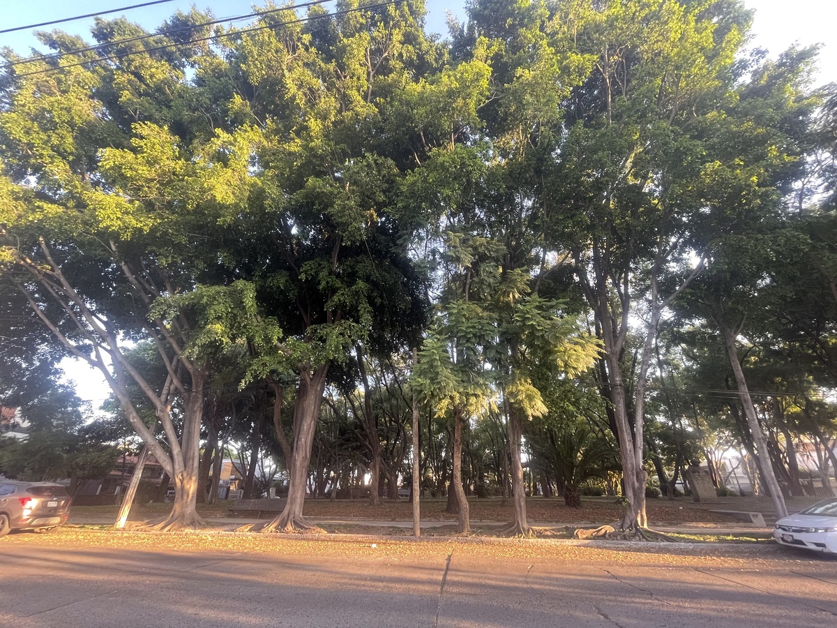 9 de 13