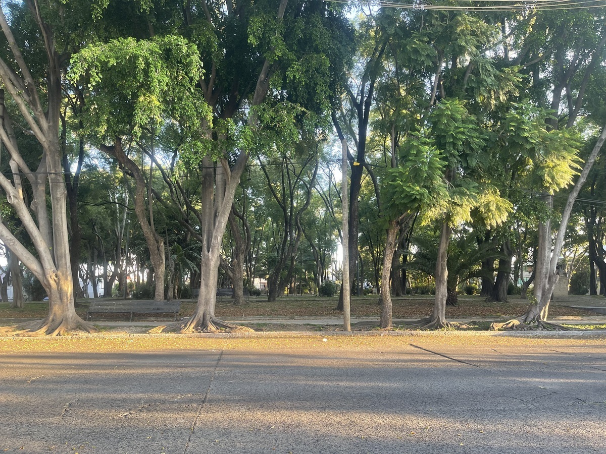 5 de 21