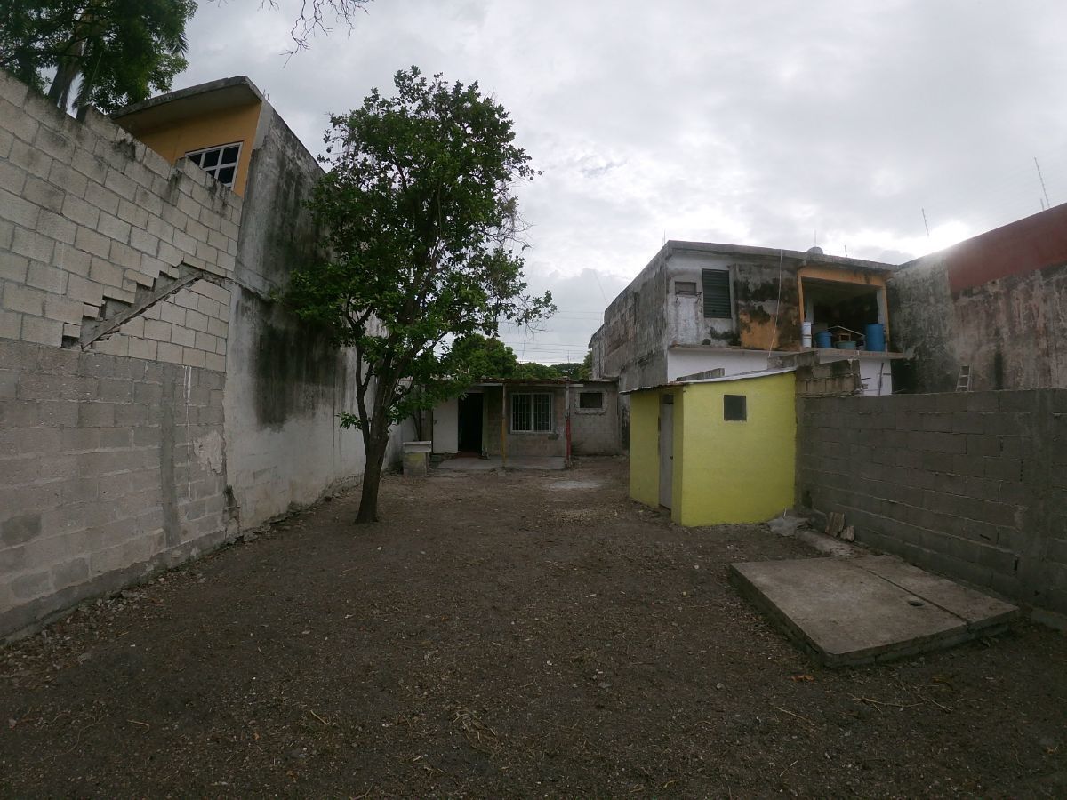 1 de 6