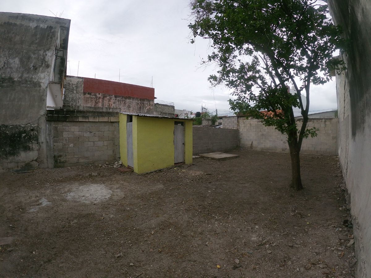 2 de 6