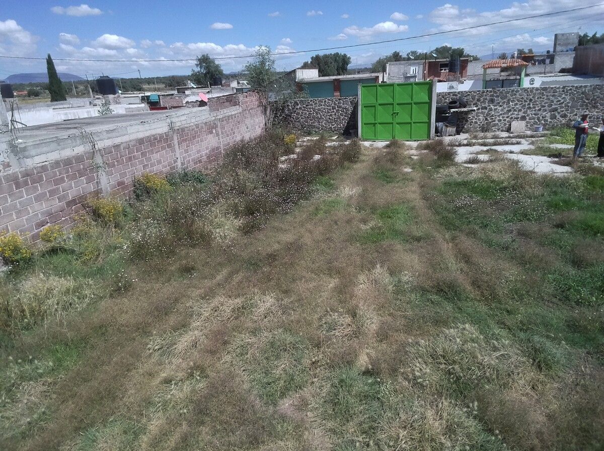 5 de 15: Vista aérea interior