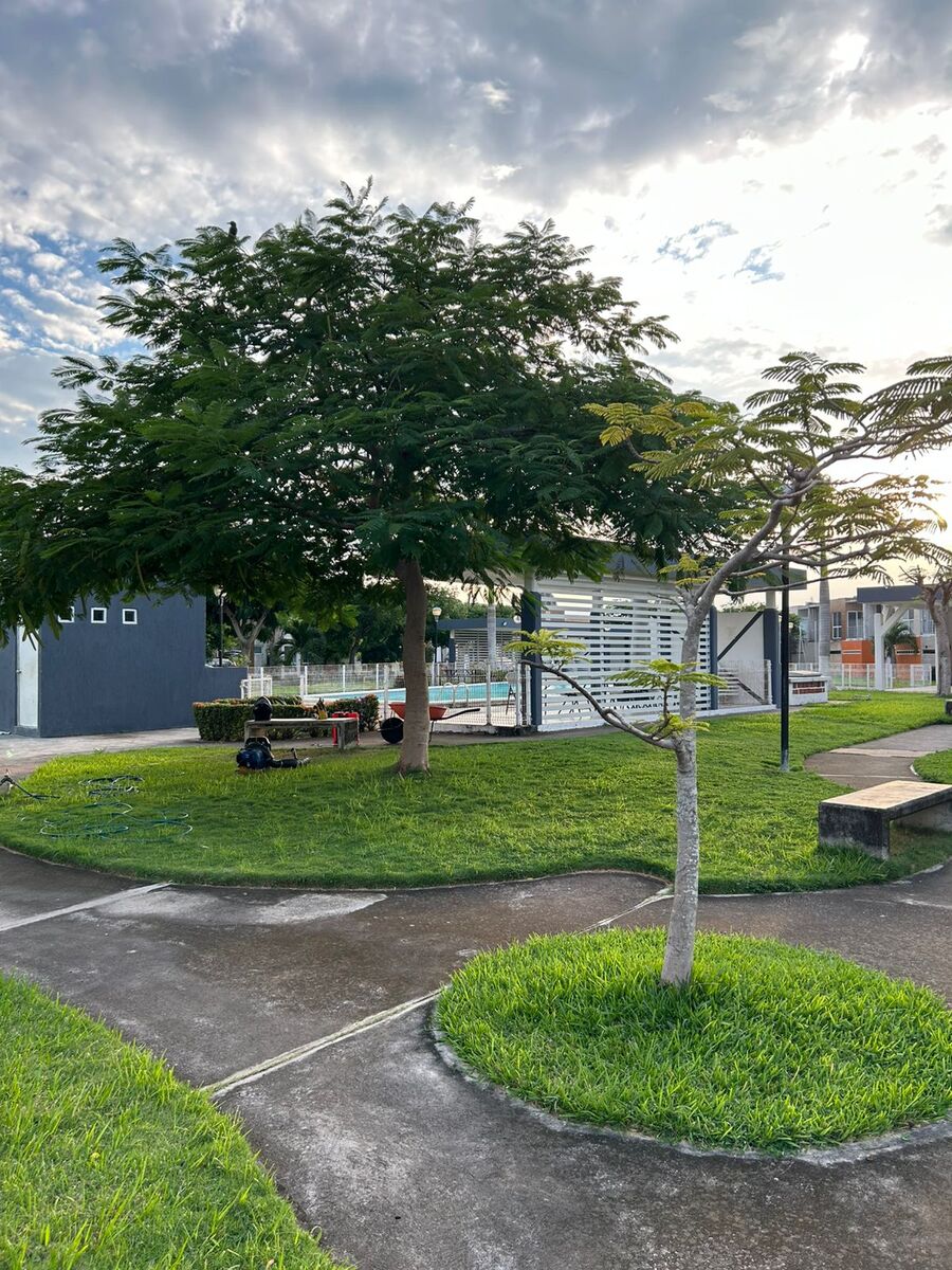 18 of 27: Área de Jardin