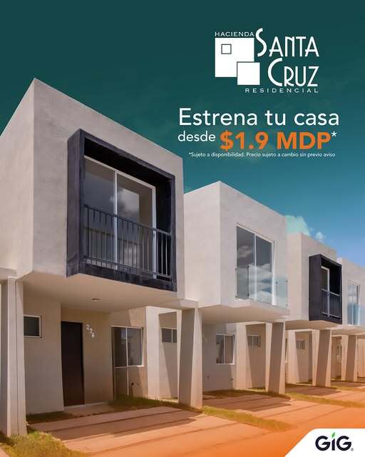2 de 19