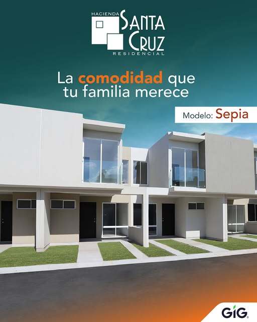 3 de 19