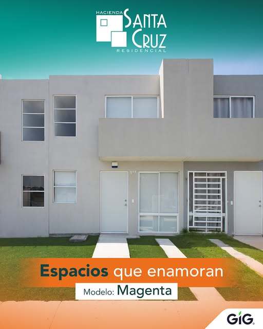 5 de 19