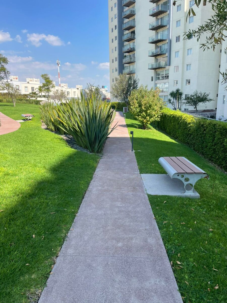 31 de 31