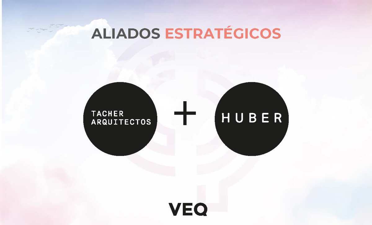 3 de 19