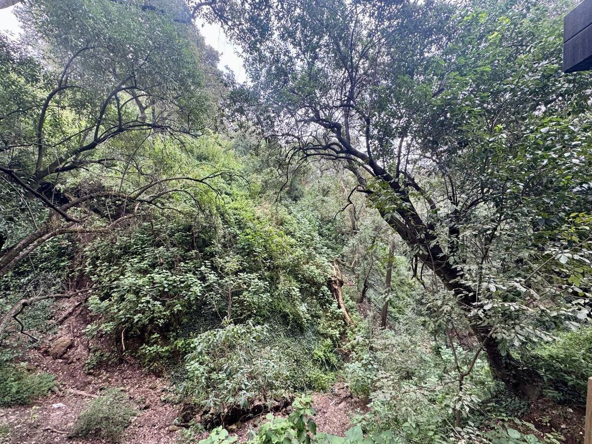 25 de 37