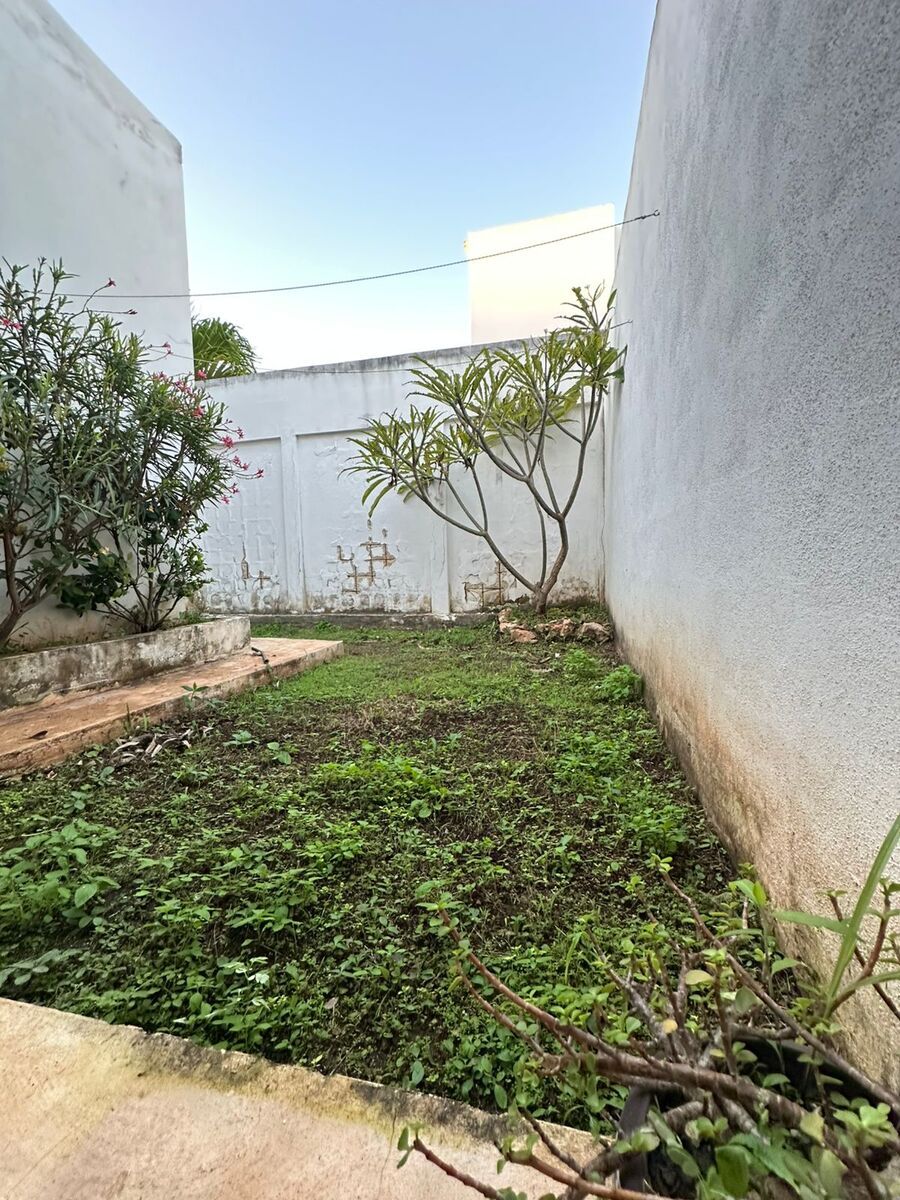 13 de 17: Jardín trasero