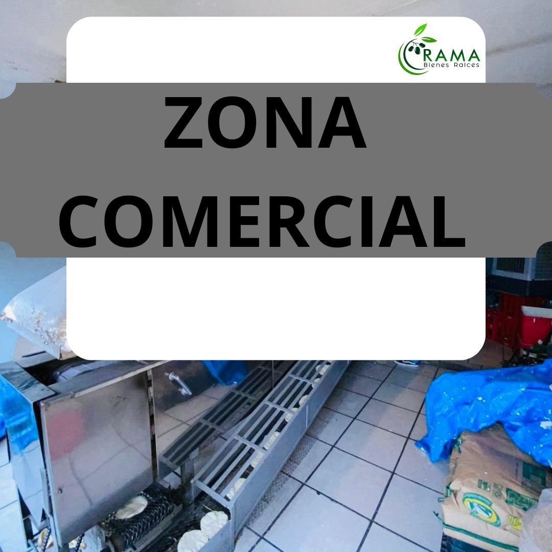 6 of 7: Valle de puebla mexicali