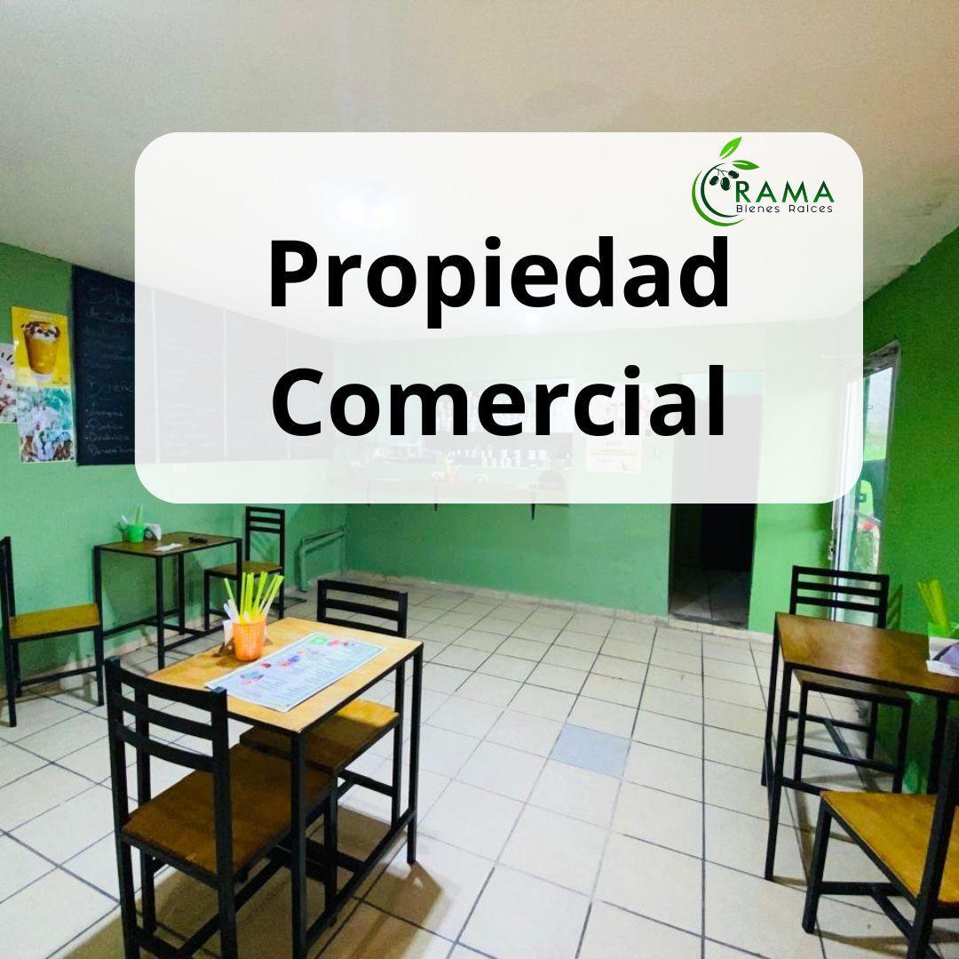 7 of 7: Valle de puebla mexicali