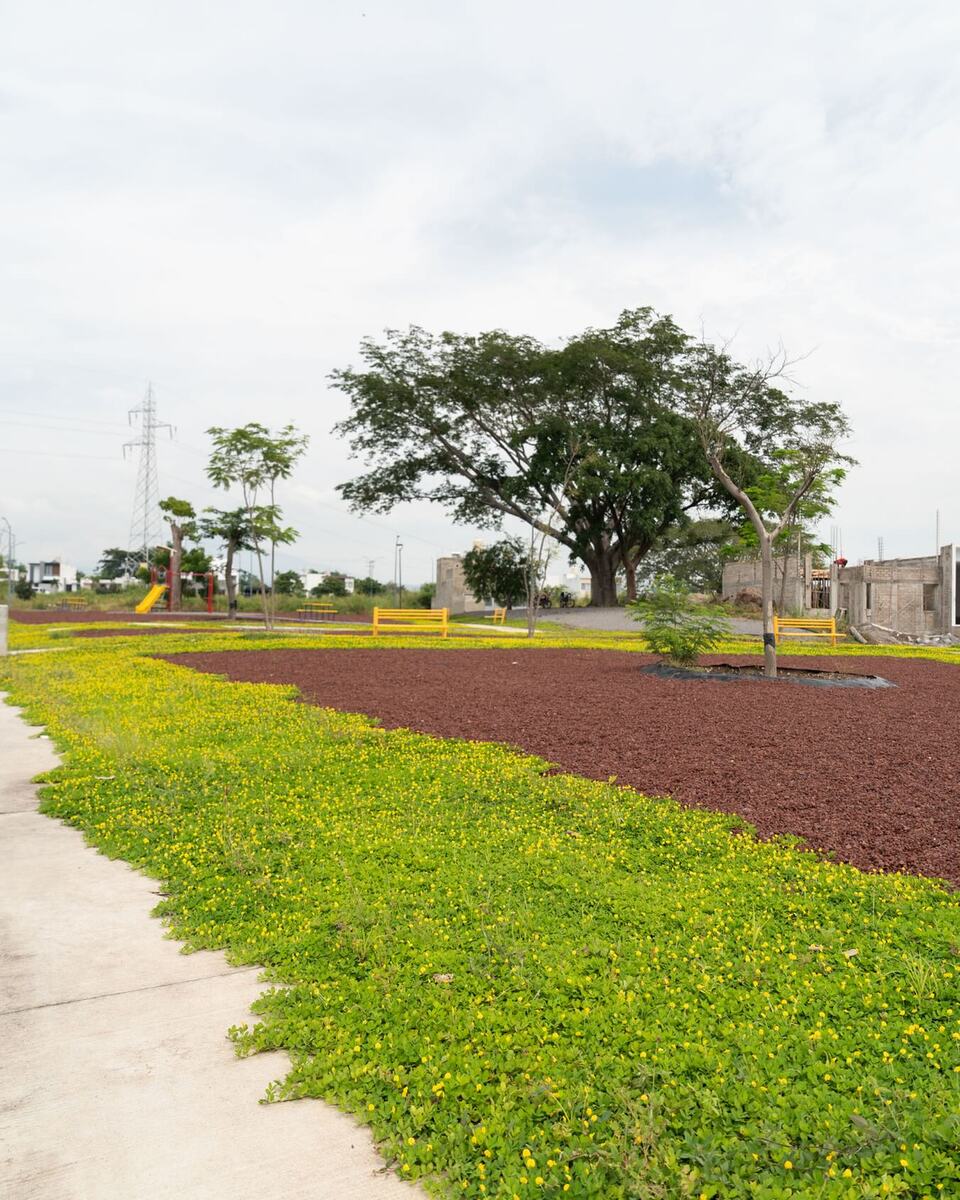 2 de 2