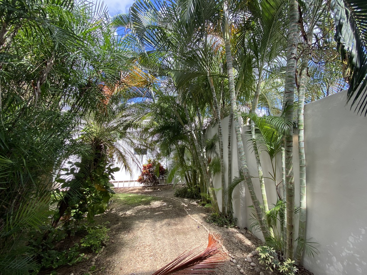 3 de 21