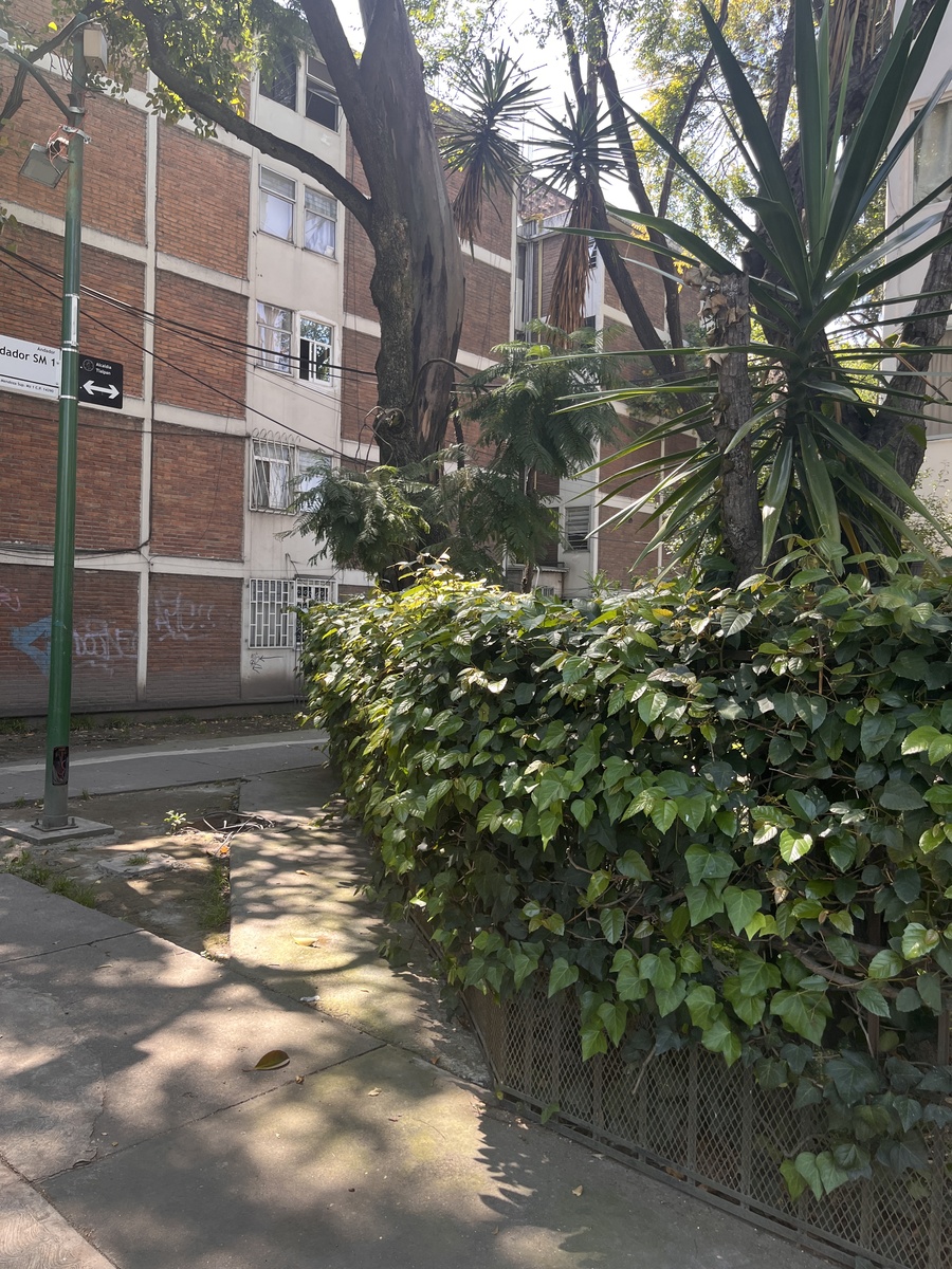 4 de 25