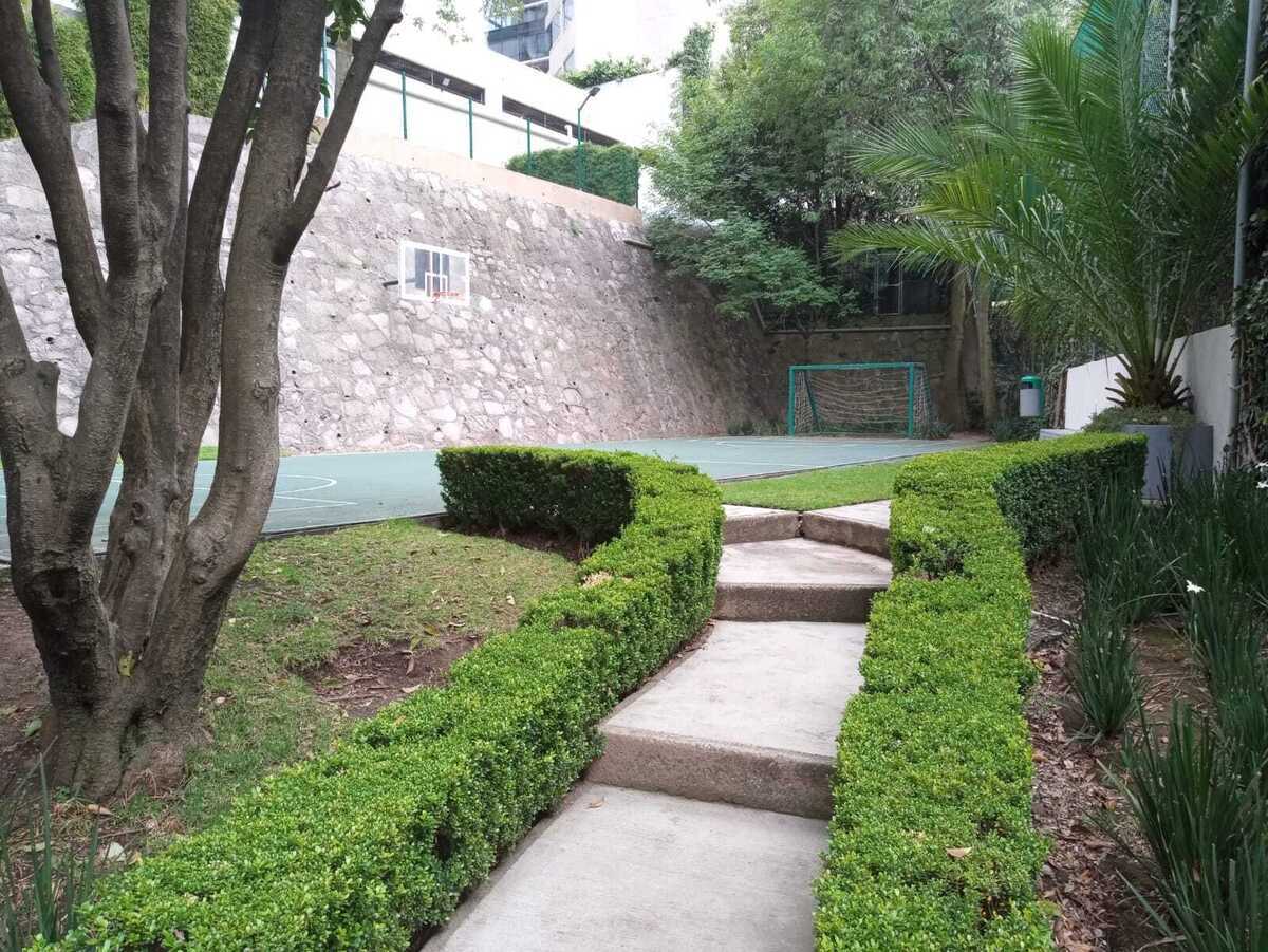 29 de 44