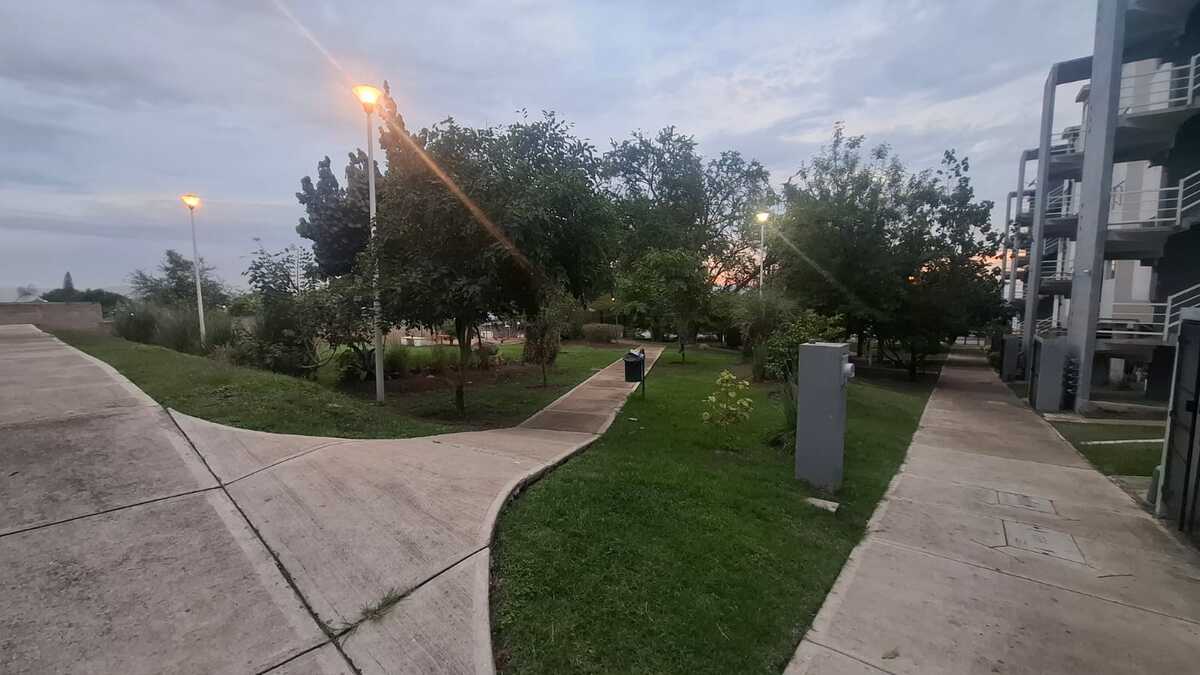 7 de 26