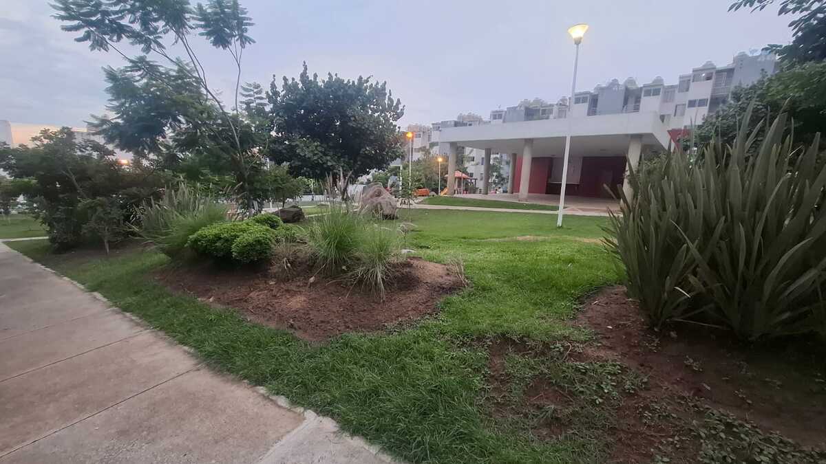 8 de 26