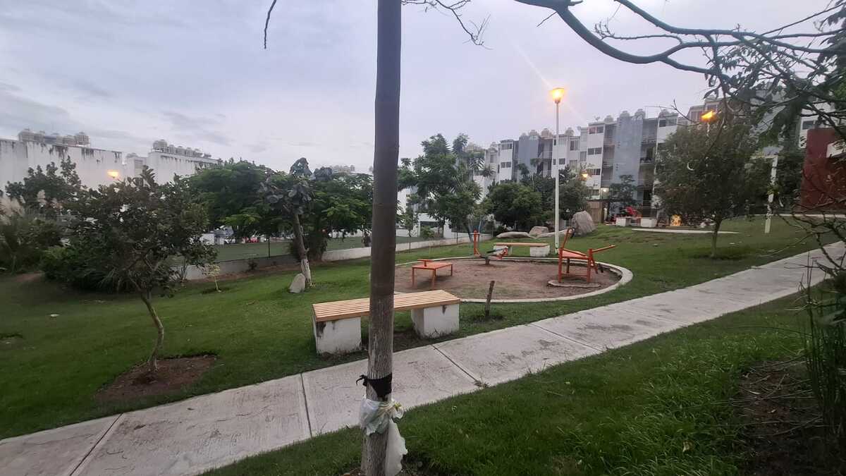 6 de 26