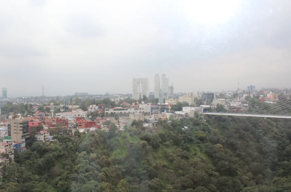 16 de 19
