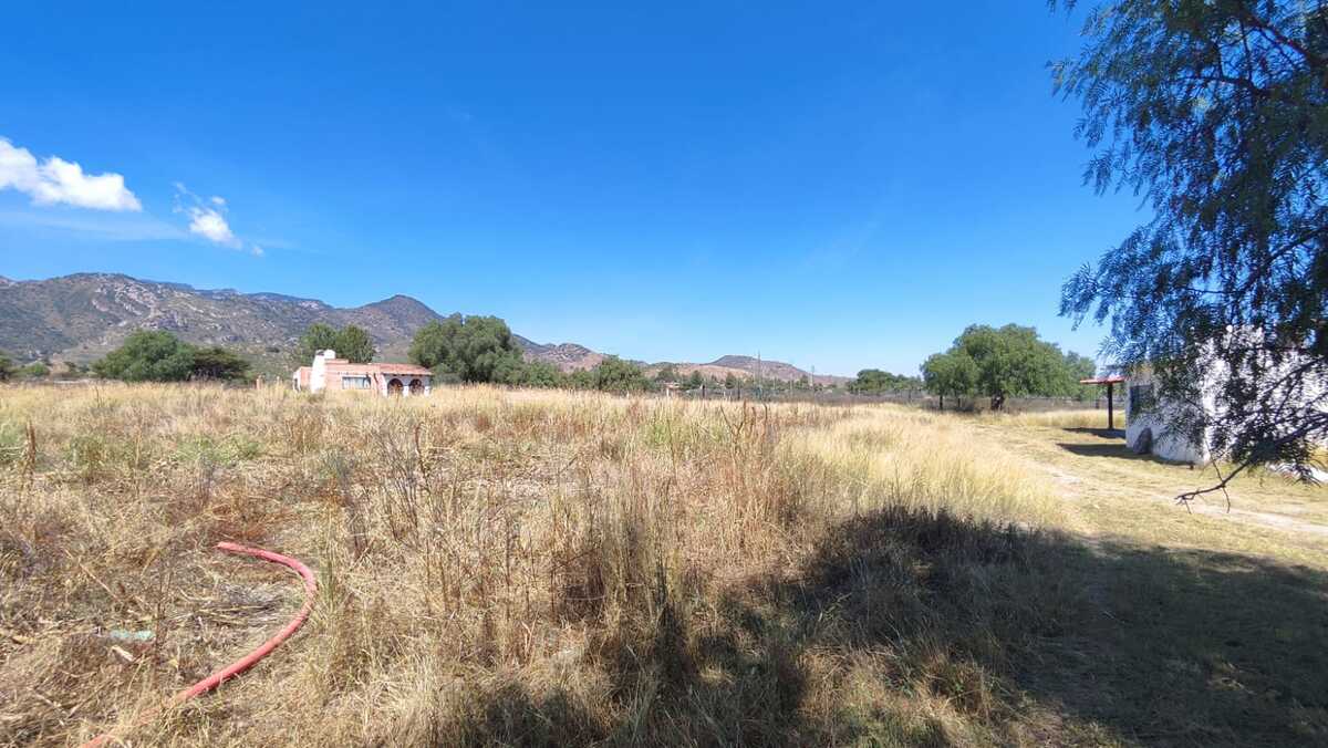3 de 24