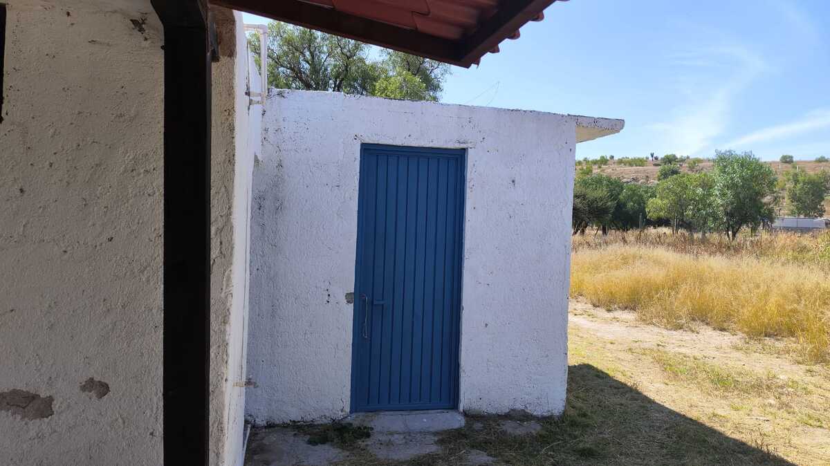 12 de 24