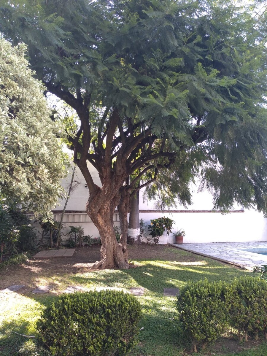 2 de 24