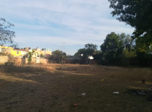 5 de 5