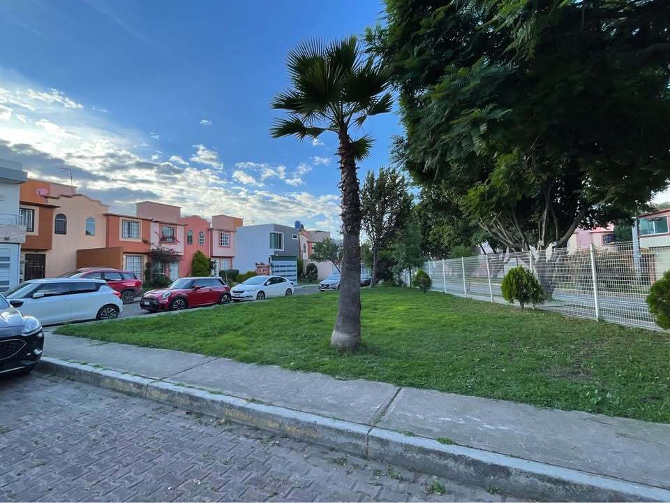 17 de 17