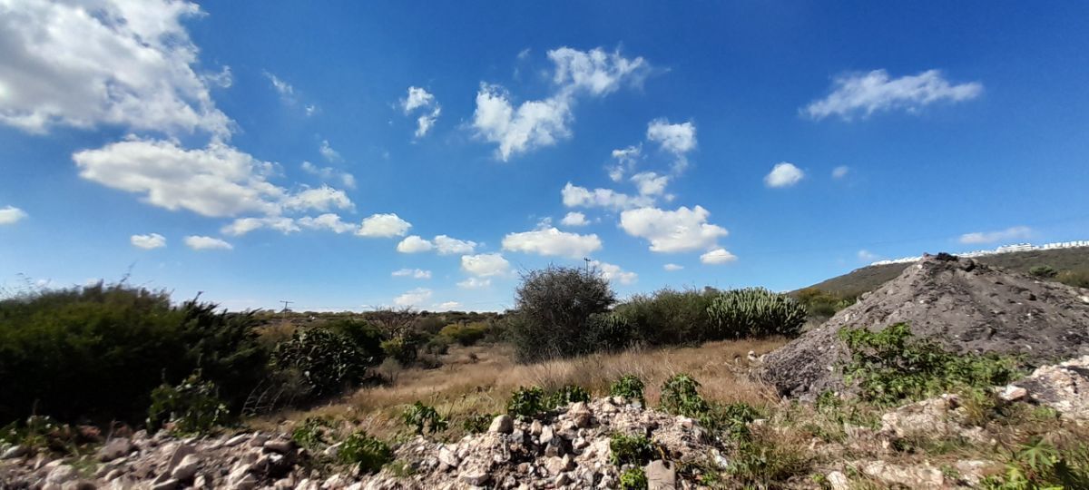 9 de 37
