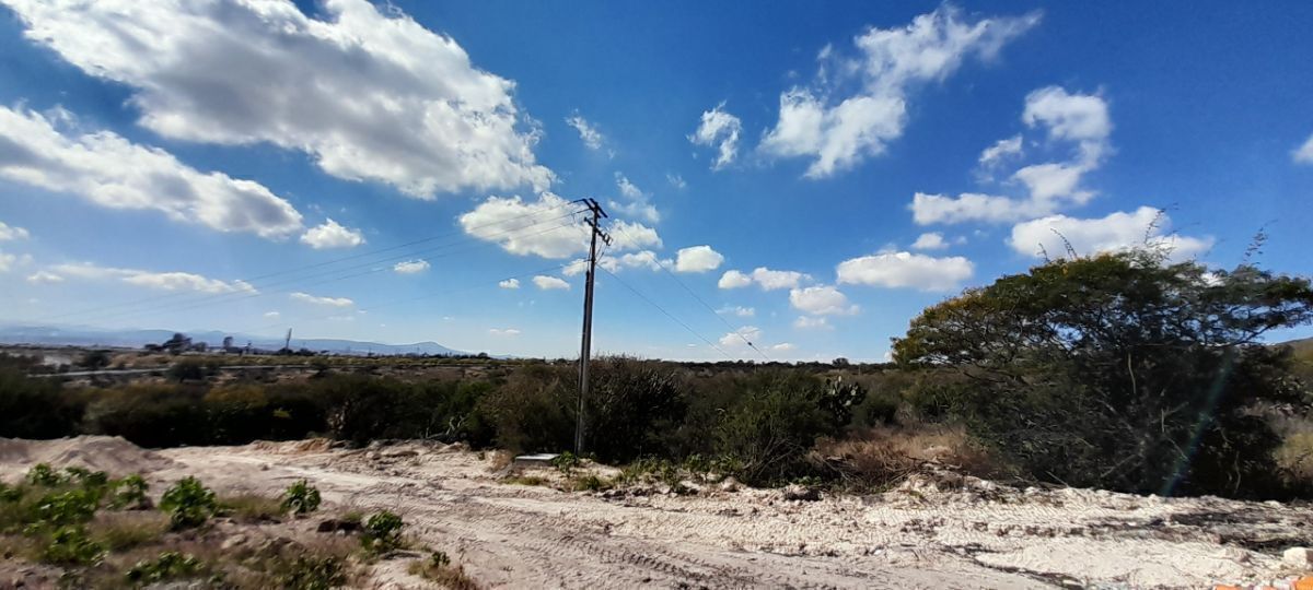 12 de 37