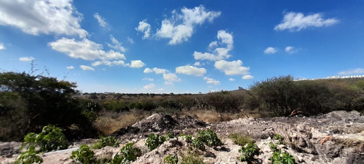 13 de 37