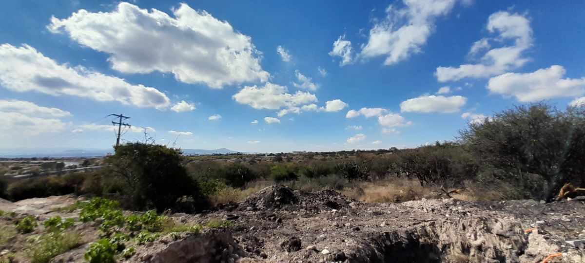 14 de 37