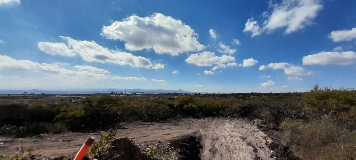 16 de 37