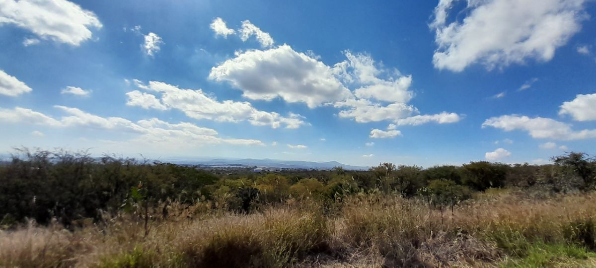 26 de 37