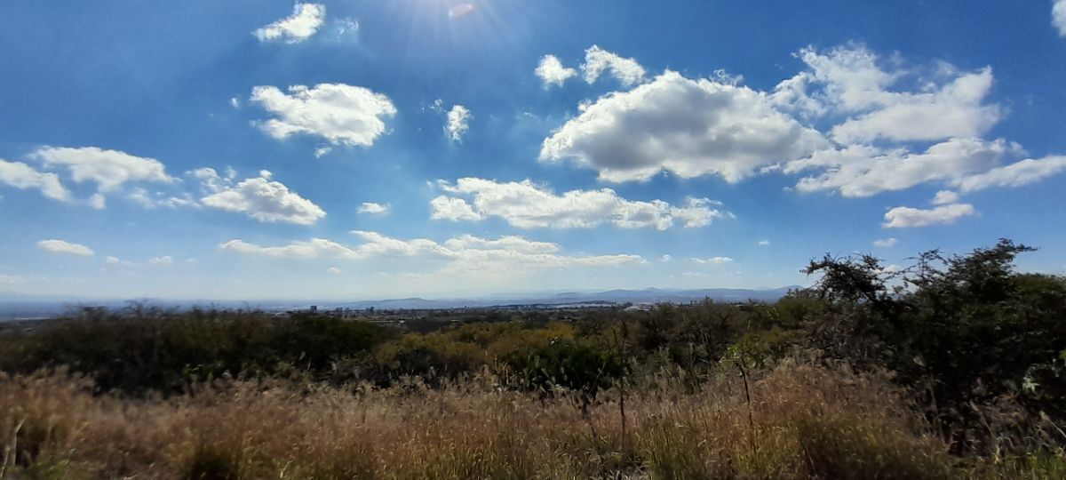 27 de 37