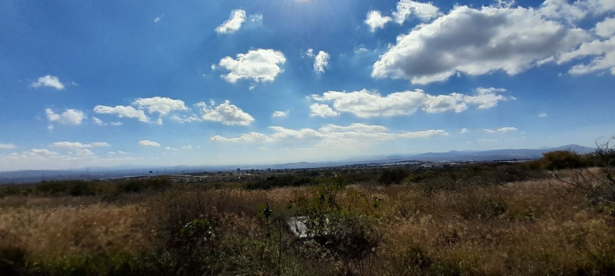 29 de 37