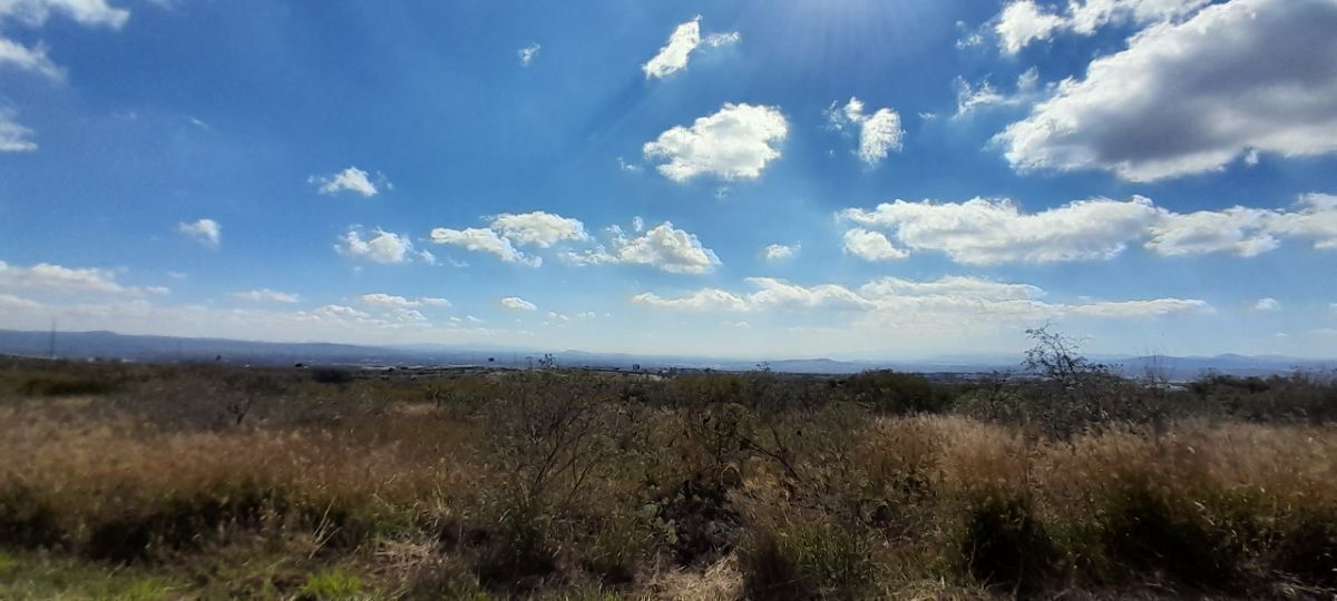 33 de 37