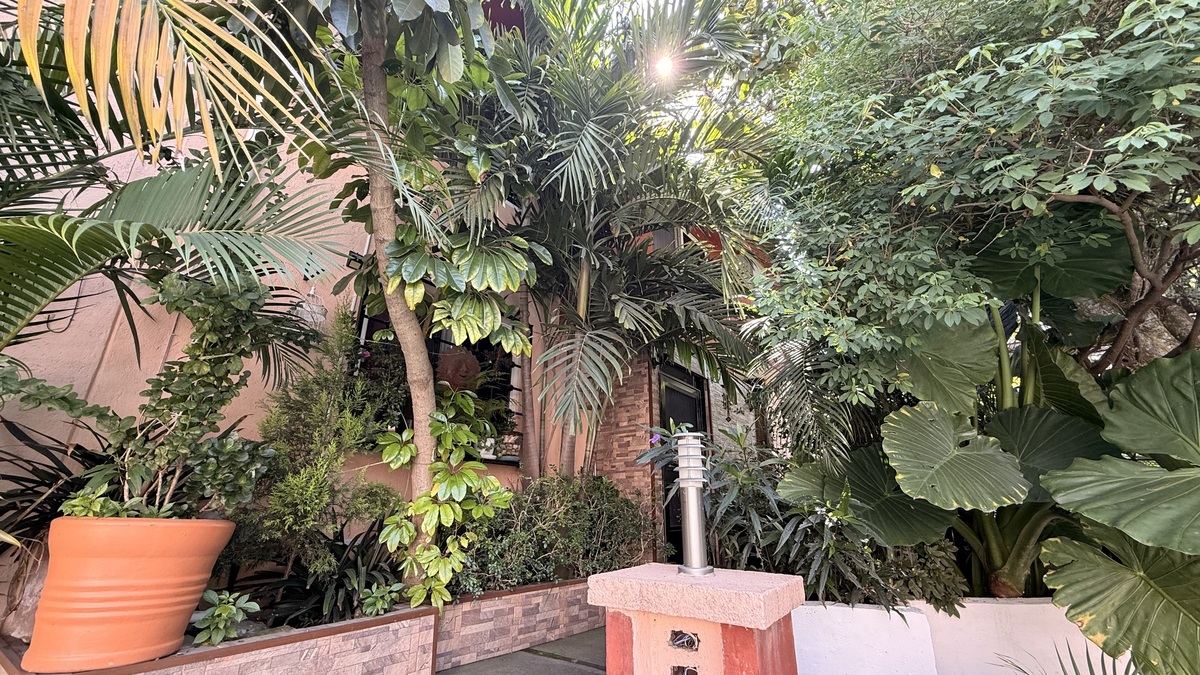 2 de 34